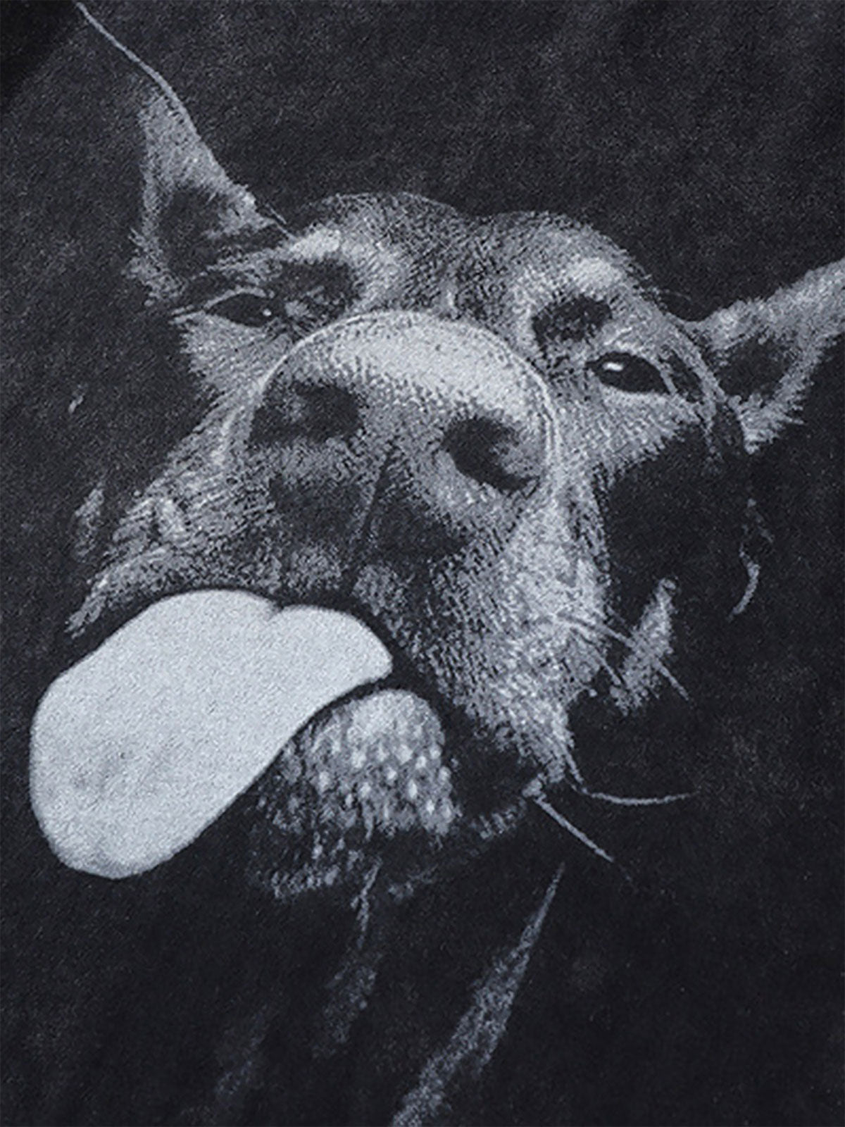 Camiseta Retro El Doberman